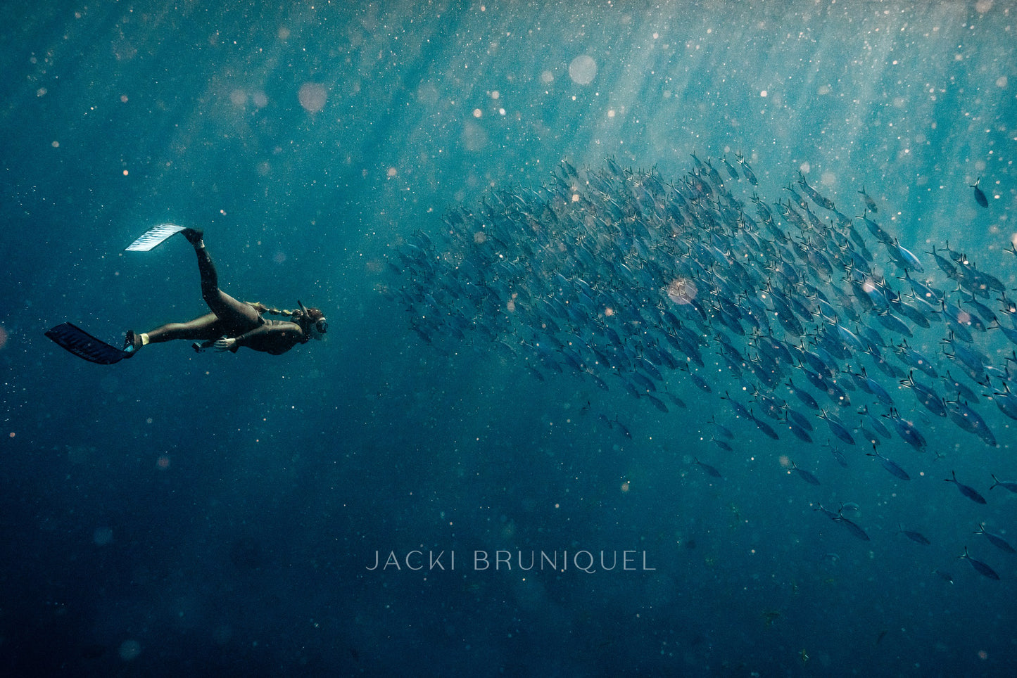 Freediver