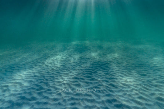 Beach Rays