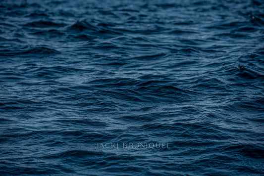 Ocean Sway
