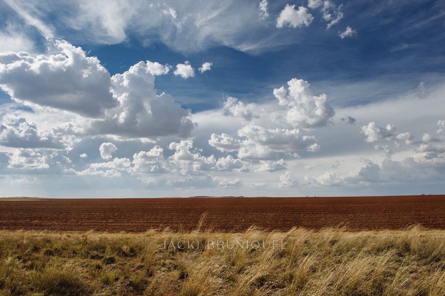 Orange Free State