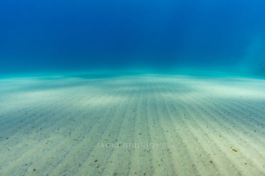 Ocean Floor