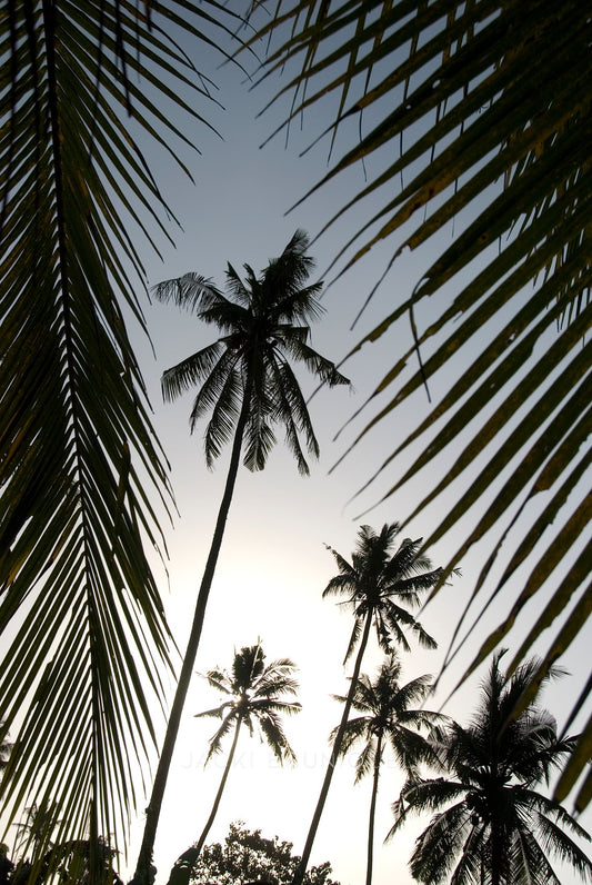 Lombok
