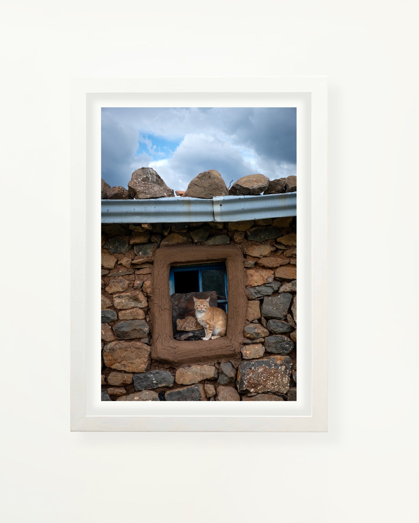 Lesotho Cat
