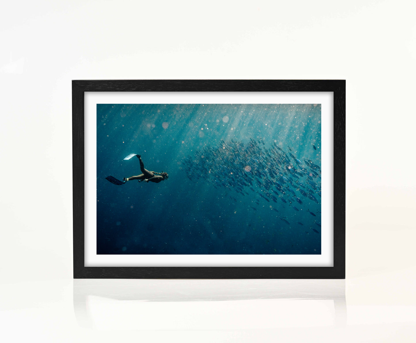 Freediver